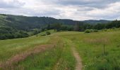 Trail Walking Burg-Reuland - Gr5 : Burg-Reuland-Duisburg  - Photo 8