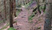 Trail Walking Moussey - Col de Prayé - La corbeille - Photo 5