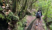 Tour Wandern Ribeira da Janela - Levada  - Photo 12