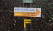 Trail Walking Tanneron - Mimosa  - Photo 1