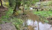 Trail Walking Tenneville - Wyompont 241025 - Photo 17