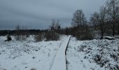 Tour Wandern Stablo - A la découverte de Hockai 🥾 - Photo 6