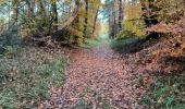 Trail Walking Fontainebleau - Butte de Franchard 17 novembre 2023 - Photo 8