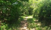 Trail Walking Curvalle - Villeneuve sur Tarn Bonneval - Photo 10