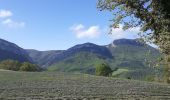 Tocht Stappen Piégros-la-Clastre - lavande, Helene - Photo 1