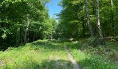 Tour Wandern Noroy-sur-Ourcq - en Forêt de Retz_93_05_2022_le Bois de Cresnes - Photo 8