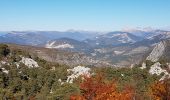 Trail Walking Castellane - CASTELLANE - CADIERES DE BRANDIS PAR COL DES LEQUES - Photo 16