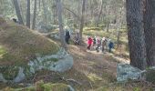 Trail Walking Noisy-sur-École - noisy sur École  - Photo 13