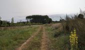 Tour Wandern Anché - Anché - Château du Rivau - 17.3km 170m 3h50 (1h05) - 2024 08 18 - Photo 2