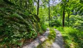 Randonnée Marche Bièvre - Promenade de la Roche Mouselle - Petit-Fays - Photo 12