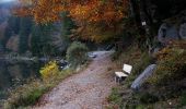 Trail On foot La Bresse - Circuit de la Roche du Lac - Photo 2