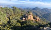 Tour Wandern Saint-Raphaël - Les Suvières et le Marsaou depuis Notre Dame - Photo 11