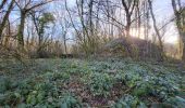 Tour Wandern Sevenans - Randonnée des forts depuis Sévenans - Photo 10