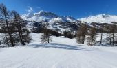 Tour Schneeschuhwandern Vars - Sur les pentes ouest de Peynier  - Photo 3