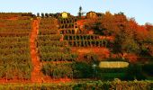 Tocht Te voet Neckarwestheim - N2 Von der Neckarburg zum Liebensteiner Schlossberg - Photo 9