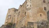 Excursión Senderismo Vézac - Boucle Beynac- La Roque Gageac - Photo 12