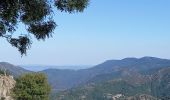 Trail Walking Prévenchères - Gorges du Chassezac au départ de la Garde guérin  - Photo 11