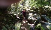 Tour Wandern Ribeira da Janela - Levada dos Cedros - Photo 12