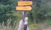 Randonnée Vélo électrique Seyne - col du Fanget Chabanon 010825 - Photo 10