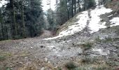 Trail Walking La Bresse - les Champis  - Photo 2