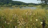 Tour Wandern Osselle-Routelle - Osselle sablière - Photo 13