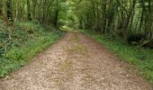 Randonnée Marche Azé - Azé - Bois et Champs - Photo 9