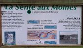 Excursión Senderismo Heurteauville - HONFLEUR 04 - La Sente aux Moines et Abbaye de Jumiêges (Normandie) - Photo 3