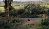 Percorso Equitazione Pajay - bois de faramans  - Photo 1