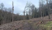 Trail Walking Aywaille - sedoz - vert-buisson (via ninglinspo) - porallée - vieux chera - sedoz - Photo 15