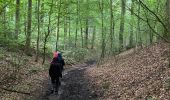 Excursión Senderismo Beauvechain - #240524b - Forêt de Meerdael, drève et étang de Warande - Photo 6
