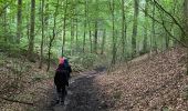 Randonnée Marche Beauvechain - #240524b - Forêt de Meerdael, drève et étang de Warande - Photo 6