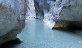 Trail Walking Malaucène - Rand'eau gorges du toulourenc - Photo 13