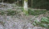 Trail On foot Rattenberg - hiking trail 7 in Rattenberg, Germany - Photo 4