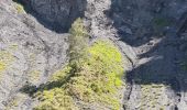 Excursión Senderismo Les Contamines-Montjoie - Le Lay - Gorges de la Gruvaz - Photo 1