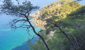 Randonnée Marche Bandol - Bandol - St Cyr par le sentier du littoral - Photo 2