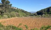 Tour Pfad Cheval-Blanc - Font de l’Orme-Croix de Fer-Menerbes-Pic Faiendre(17K 950D+) - Photo 6