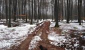 Excursión Senderismo Paliseul - devant le pré  - Photo 2