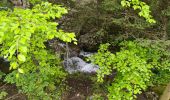 Tour Wandern Villard-de-Lans - Villard de Lans - les clots - bergerie de la fauge  - refuge - clos du four - fontaine magdelen- retour parking des clots - Photo 1