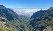 Trail Walking Nuns Valley - Pico do Areeiro - Photo 4