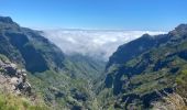 Excursión Senderismo Curral das Freiras - Pico do Areeiro - Photo 4