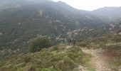 Trail Walking Saint-Gervais-sur-Mare - boucle COURS LES BANISSOUS - Photo 1
