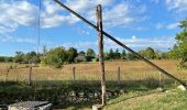 Randonnée Marche Sorges et Ligueux en Périgord - De Sorges à Perigueux sur la voie de Compostelle  - Photo 6