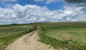 Excursión Senderismo Hastière - GRP 125 : Les crêtes de la Meuse (Hastière) - Photo 15