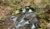 Tour Wandern Gerdsee - Roches de Bruyères et du Page, Gorges du Roitelet - Photo 13