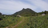 Trail Walking Ajaccio - Crète de la punta Lisa Antenne  - Photo 1