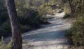 Percorso Marcia Cagnes-sur-Mer - Villeneuve Loubet  - Photo 2