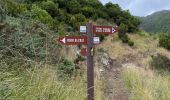 Tour Wandern Porto da Cruz - Machico to Porto Da Cruz - Photo 10