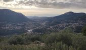 Excursión Senderismo Le Revest-les-Eaux - Les hauteurs de La ripelle - Le revest Les eaux - Photo 11