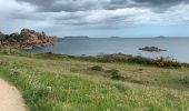 Tour Wandern Perros-Guirec - Perros guirrec 1 - Photo 14