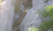 Excursión Senderismo La Faurie - Les Marmites du Diable de Durbonas - Photo 3